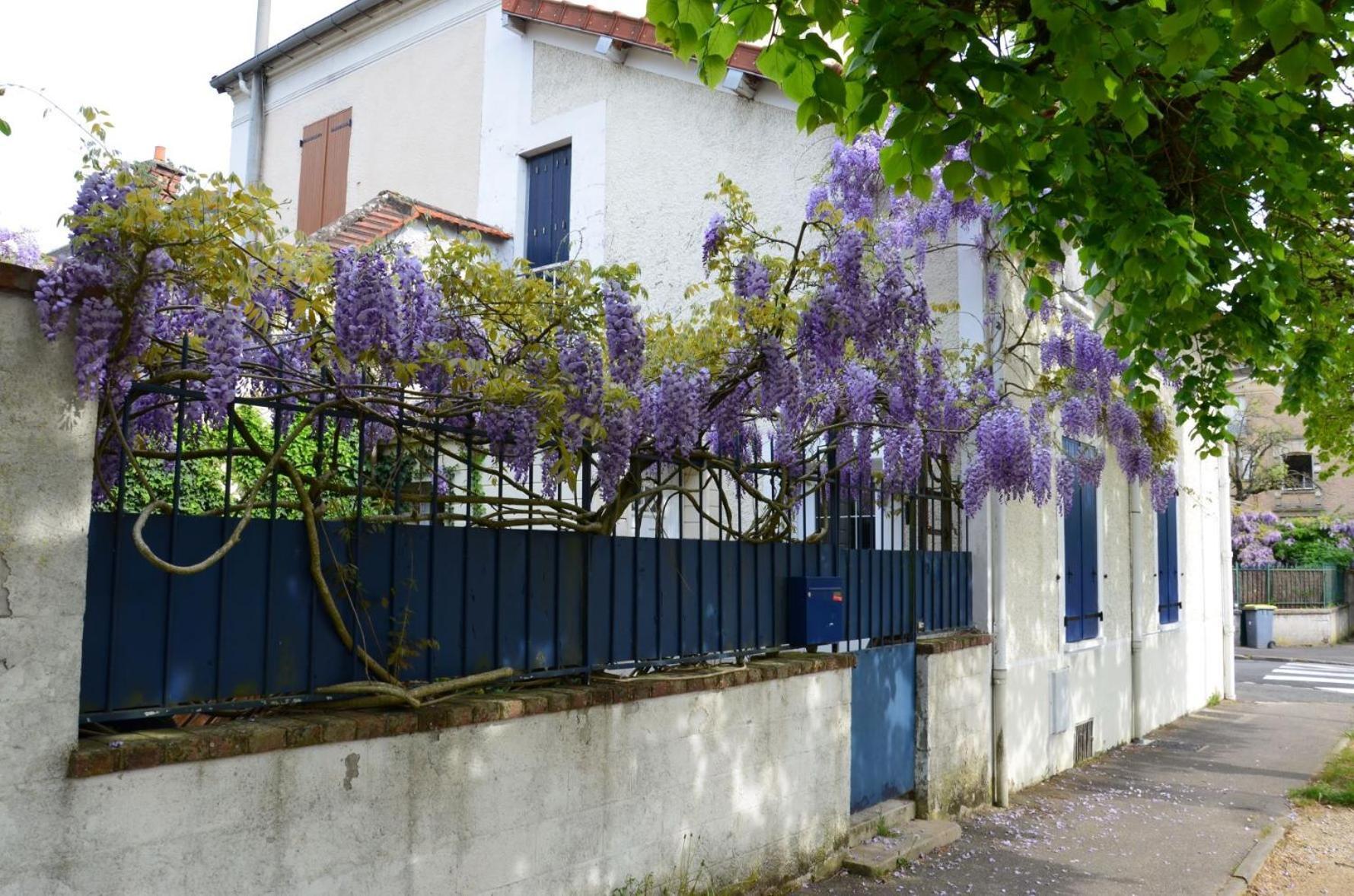 Bleautiful "Eugenie" Charmante Maison De Ville 枫丹白露 外观 照片